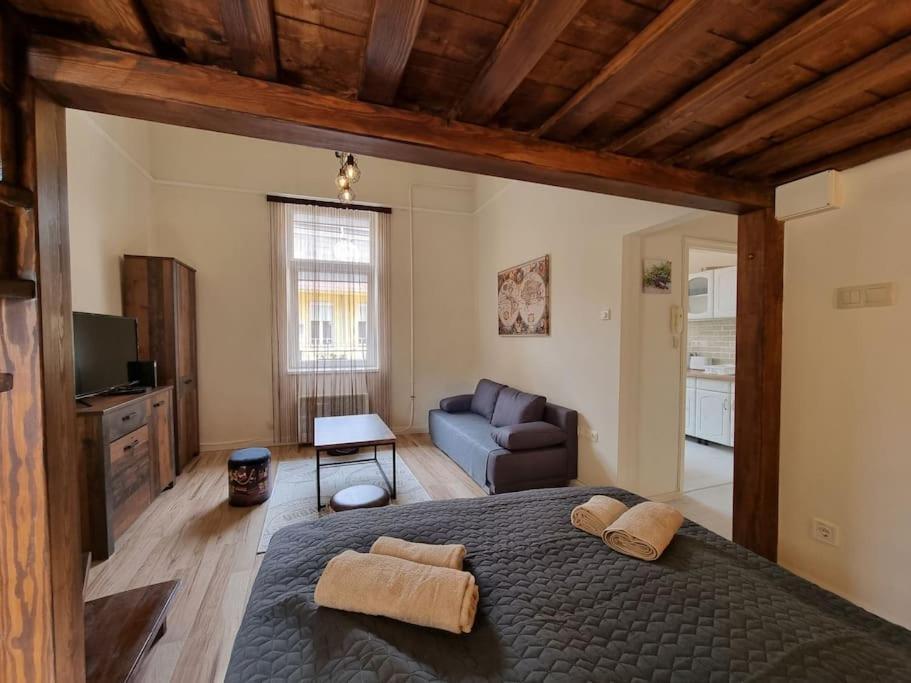 Vintage Apartman In City Center Μίσκολτς Εξωτερικό φωτογραφία